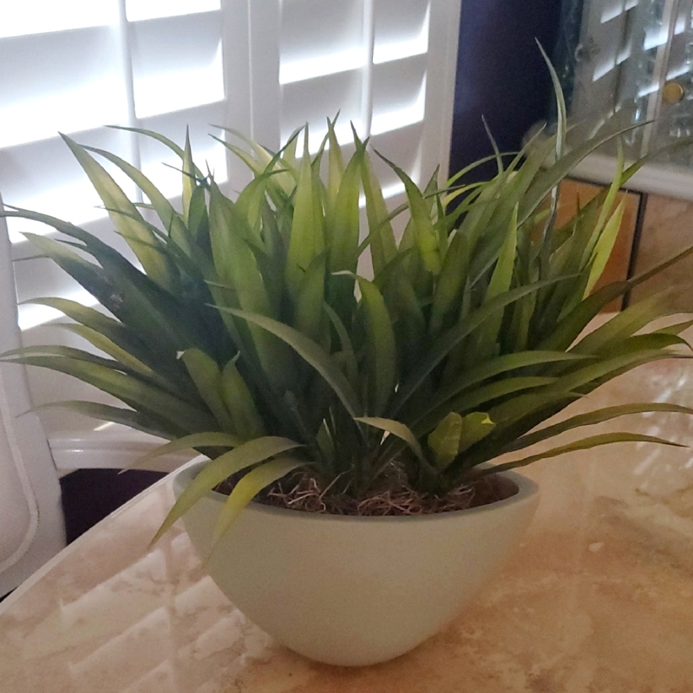 **HOST PICK**Modern Green Artificial Plant in Light Green/Cream Planter Nwot
